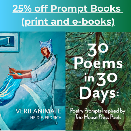 Poetry Prompt Bundle - E-book Bundle