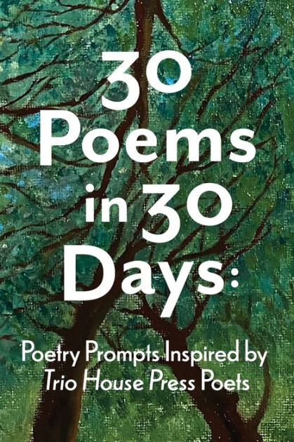 30 Poems in 30 Days - E-book