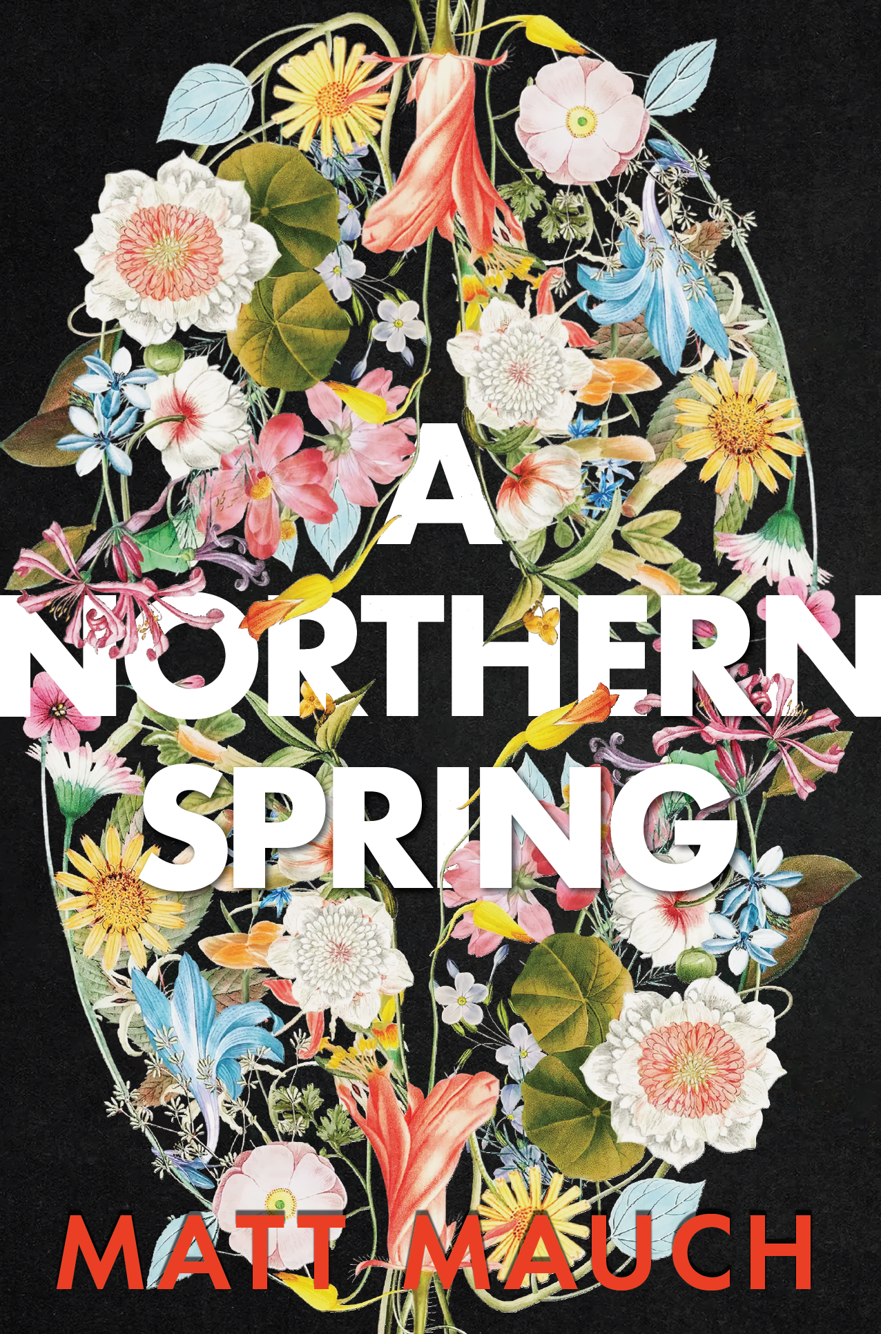 A Northern Spring - e-book