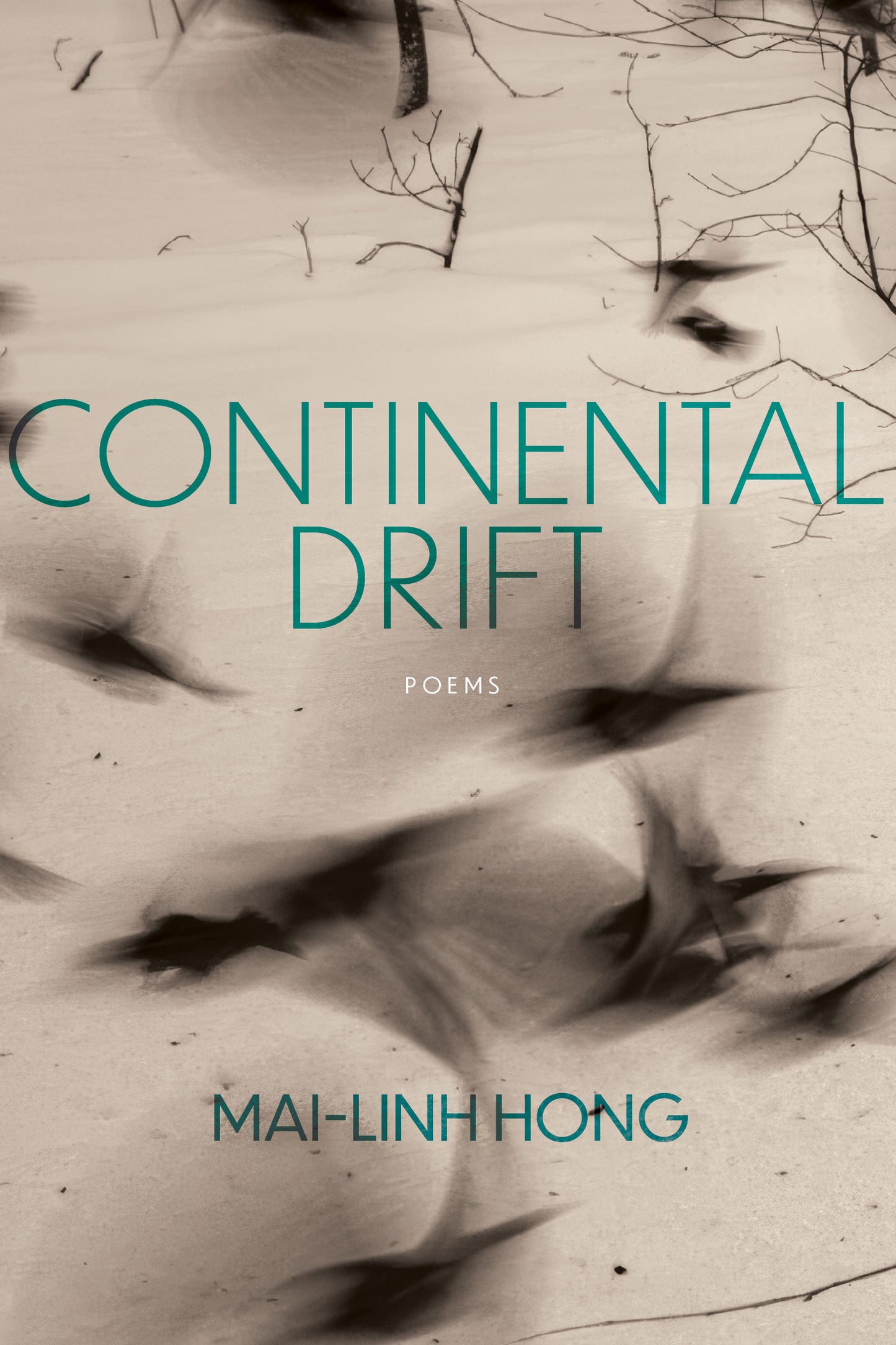 Pre-order Continental Drift by Mai-Linh Hong