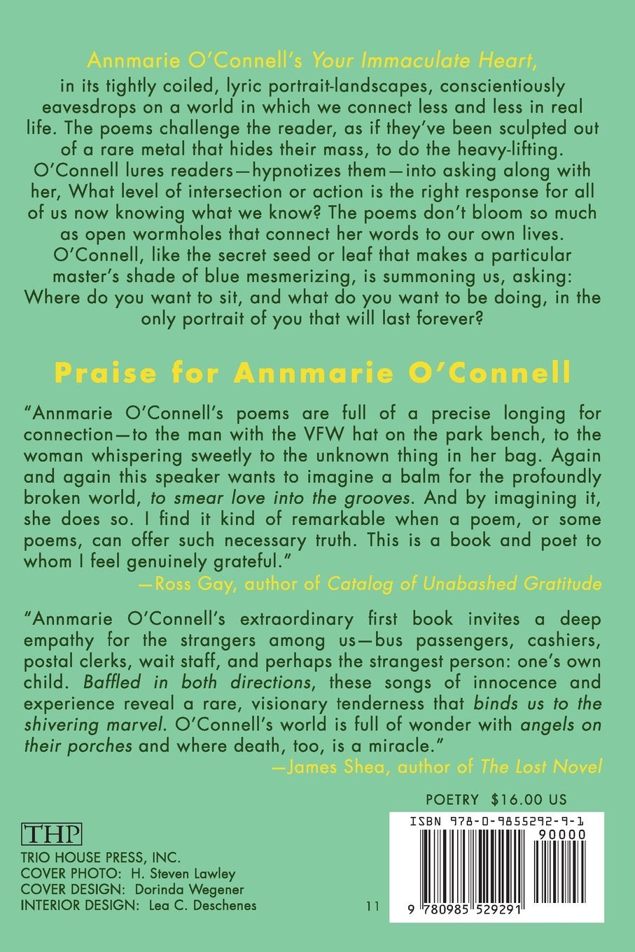 Your Immaculate Heart by Annmarie O'Connell