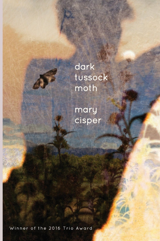 Dark Tussock Moth by Mary Cisper