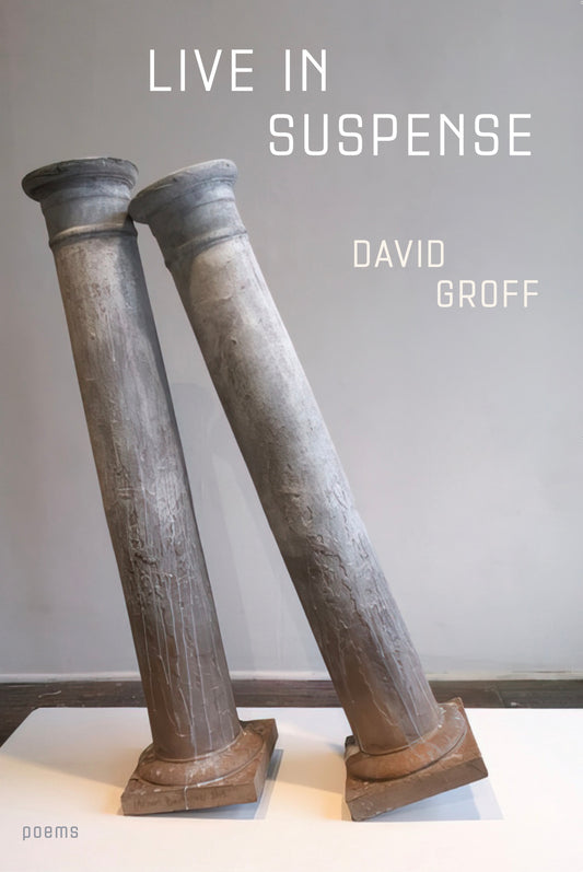 Live in Suspense by David Groff