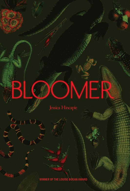 Bloomer by Jessica HIncapie