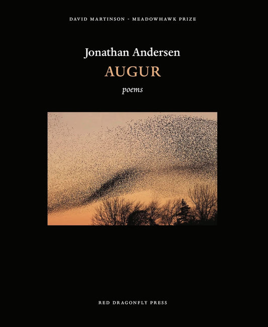 Augur by Jonathan Andersen