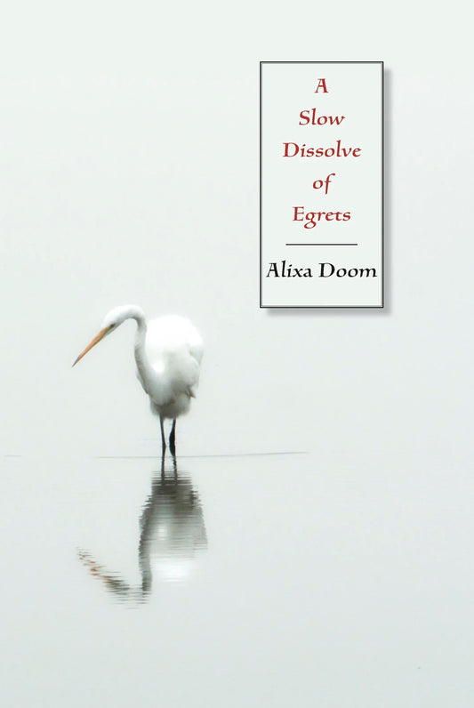 A Slow Dissolve of Egrets by Alixa Doom