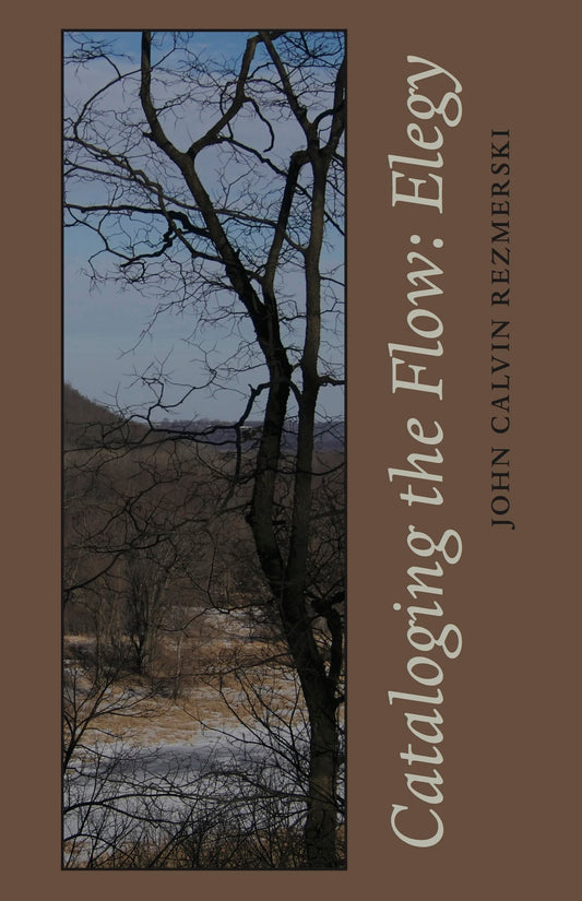 Cataloging the Flow: Elegy by John Calvin Rezmerski