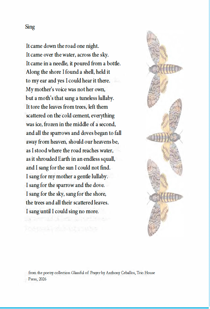 "Sing" by Anthony Ceballos - Broadside
