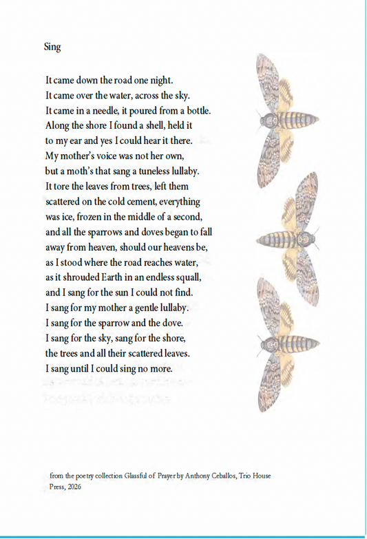 "Sing" by Anthony Ceballos - Broadside