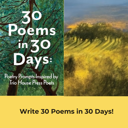 Na-Po-Wri-Mo Bundle: Write 30 Poems in 30 Days!